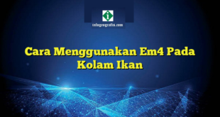 Cara Menggunakan Em4 Pada Kolam Ikan