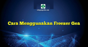 Cara Menggunakan Freezer Gea