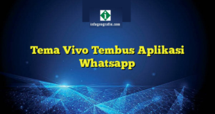 Tema Vivo Tembus Aplikasi Whatsapp