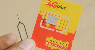 Cara Mudah Cek Nomor Indosat SMS